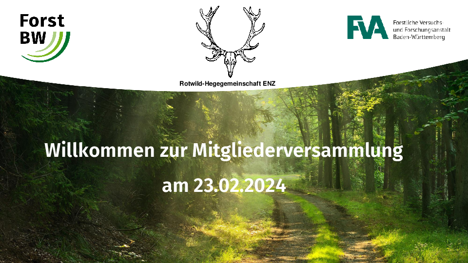 pdf-preview