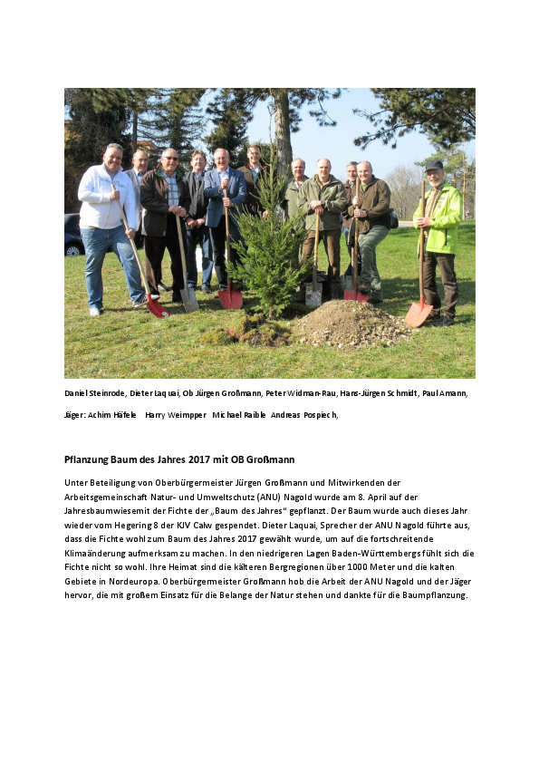 pdf-preview